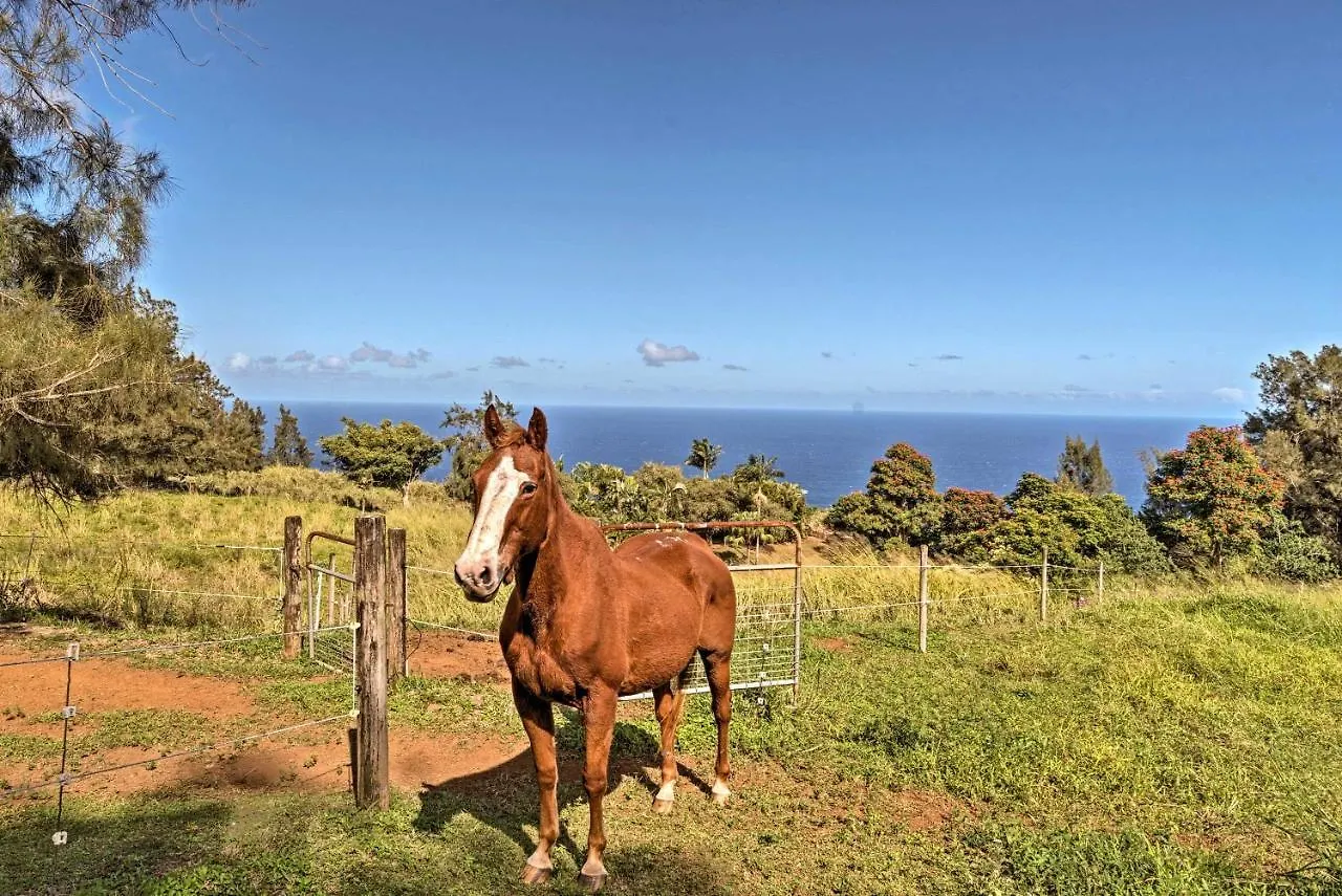 Cliff House With Waipio Valley Views - On 43 Acres! Villa Kukuihaele